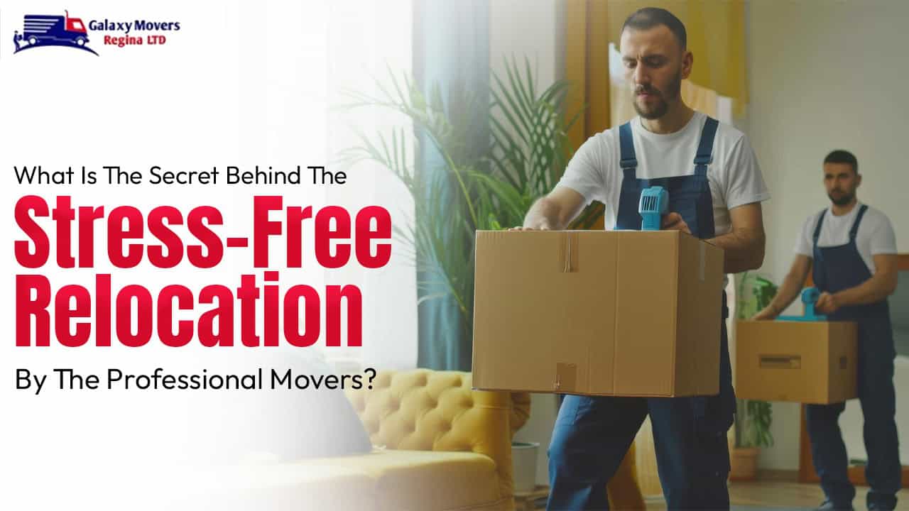 What Is The Secret Behind The Stress-Free Relocation By The Professional Movers?